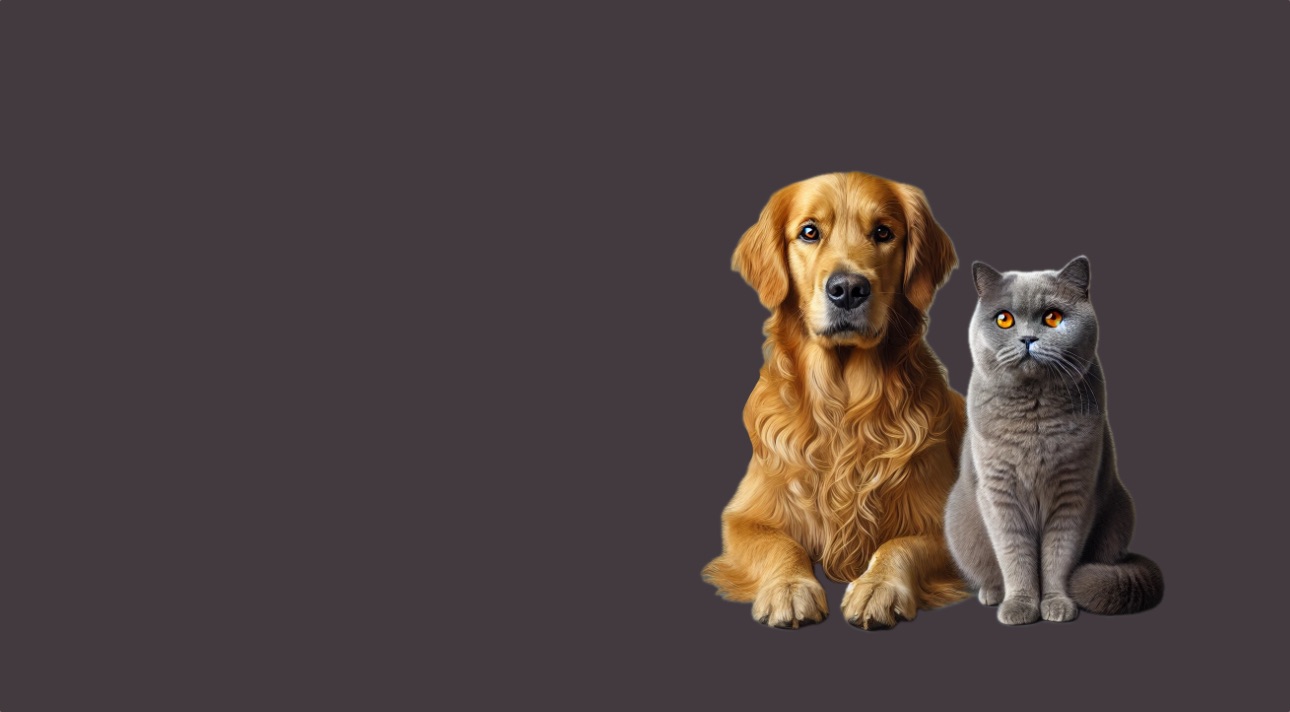 Нефролог-Уролог